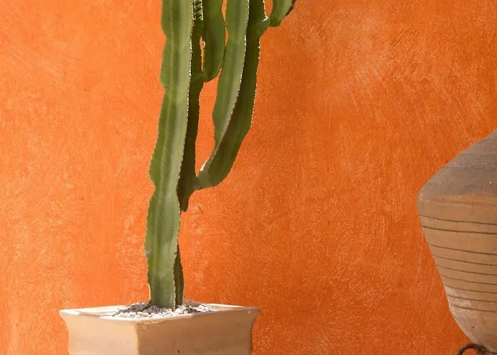 Old Town Charm Casa Historica Feriehus *